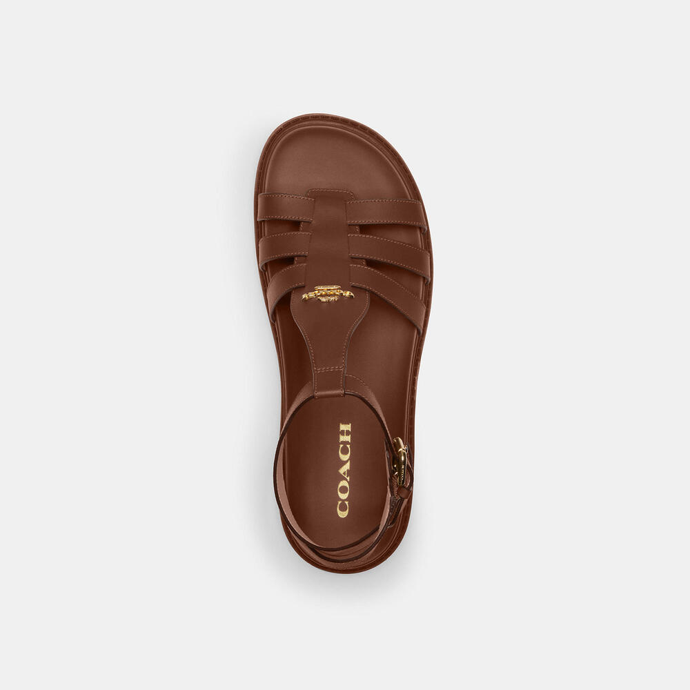 Franny Sandal